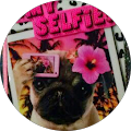 Cindy S profile picture
